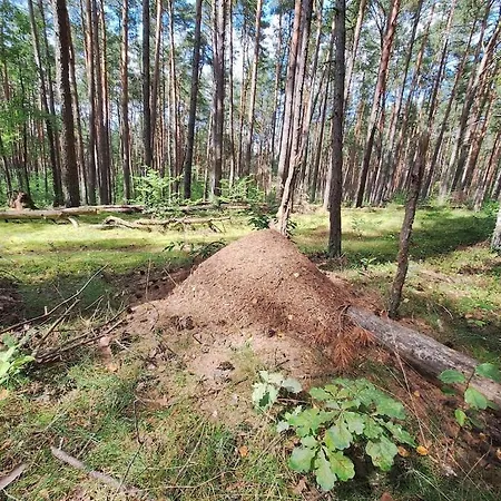 Holiday Home With 1 Bedroom Дом отдыха *